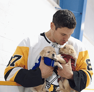 A Man In A Pittsburgh Jersey Holds Two Puppies GIF