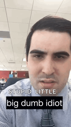 A Man In A Plaid Shirt And Tie Is Saying Stupid Little Big Dumb Idiot .. GIF
