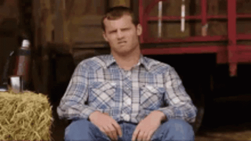 A Man In A Plaid Shirt Is Sitting In Front Of A Hay Bale Making A Funny Face . GIF