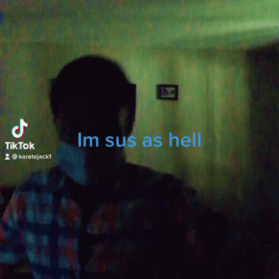 A Man In A Plaid Shirt Is Standing In A Dark Room With The Words Im Sus As Hell GIF