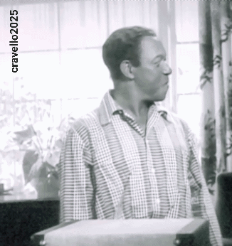A Man In A Plaid Shirt Is Standing In Front Of A Window With The Words Cravelle20205 Below Him GIF