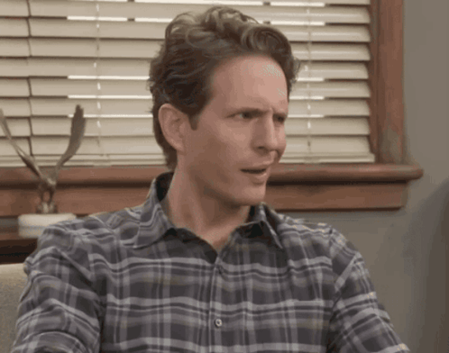 A Man In A Plaid Shirt Sits In Front Of A Window With Blinds GIF
