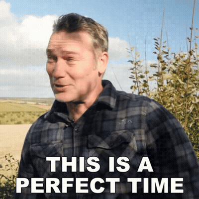 A Man In A Plaid Shirt With The Words This Is A Perfect Time Above Him GIF