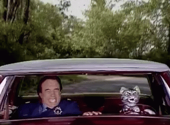 A Man In A Police Uniform Is Driving A Car With A Stuffed Cat In The Passenger Seat . GIF