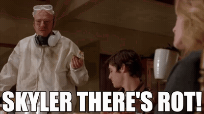 A Man In A Protective Suit Says Skyler There 'S Rot In Front Of A Group Of People GIF