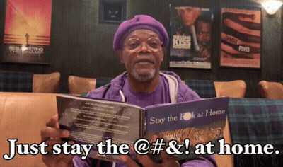 A Man In A Purple Shirt Holds A Book That Says Just Stay The @ # & ! At Home GIF