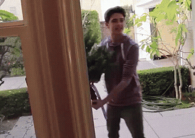 A Man In A Purple Shirt Is Holding A Plant In Front Of A Window GIF
