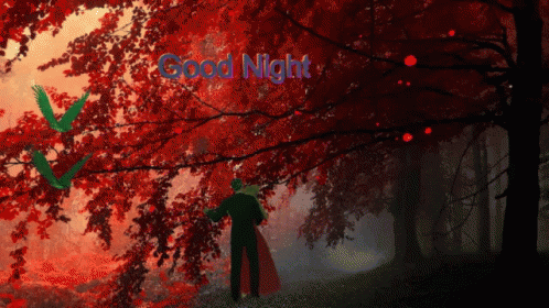 A Man In A Red Cape Is Standing In A Forest With The Words Good Night Written Above Him GIF