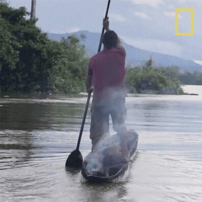 A Man In A Red Shirt Is Paddling A Boat In A River GIF