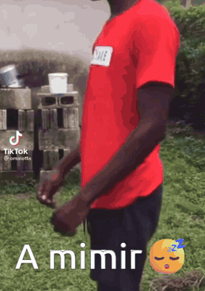 A Man In A Red Shirt Is Standing In The Grass With The Words A Mimir Written On The Bottom GIF