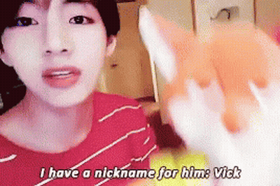 A Man In A Red Shirt Says " I Have A Nickname For Him : Vick " GIF
