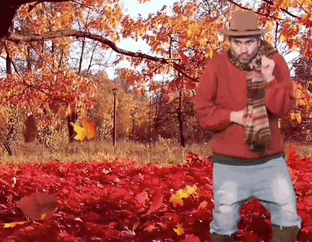 A Man In A Red Sweater And Scarf Is Standing In A Pile Of Leaves . GIF