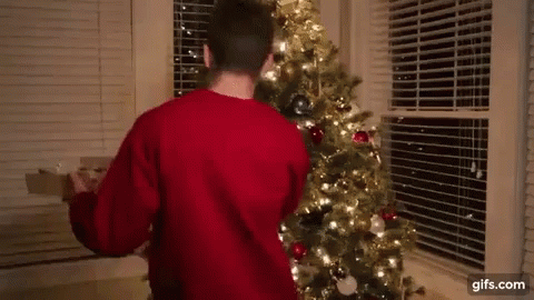 A Man In A Red Sweater Is Decorating A Christmas Tree In Front Of A Window . GIF