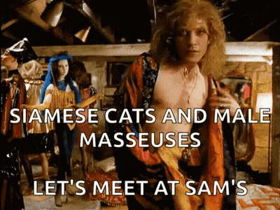 A Man In A Robe Is Standing In A Room With A Caption That Says Siamese Cats And Male Masseuses GIF