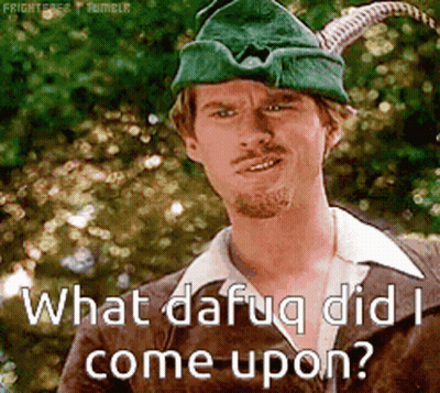 A Man In A Robin Hood Costume Is Asking " What Dafug Did I Come Upon " GIF