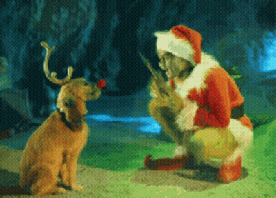 A Man In A Santa Hat Is Kneeling Down Next To A Dog GIF