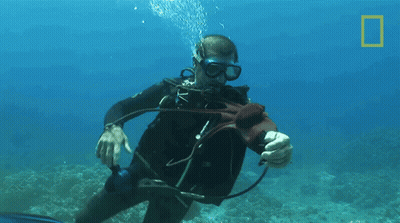 A Man In A Scuba Suit Is Underwater With A National Geographic Logo Behind Him GIF