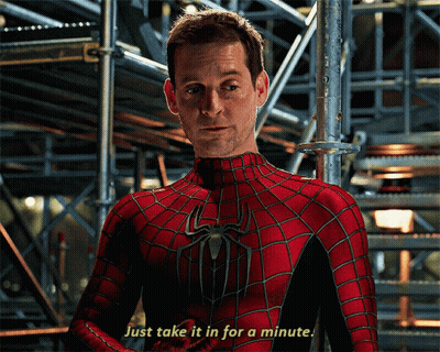 A Man In A Spider Man Costume Says Just Take It In For A Minute GIF