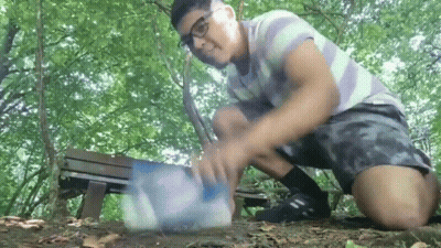 A Man In A Striped Shirt And Shorts Is Kneeling Down In The Woods Playing With A Ball GIF