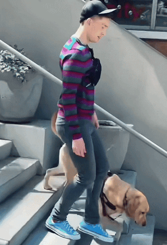 A Man In A Striped Shirt Is Walking Down Stairs With A Dog GIF