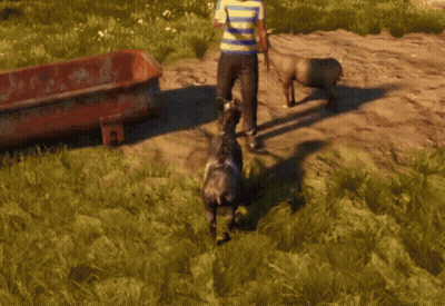A Man In A Striped Shirt Stands Next To A Goat GIF
