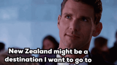 A Man In A Suit And Bow Tie Says New Zealand Might Be A Destination I Want To Go To GIF
