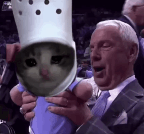 A Man In A Suit And Tie Holds A Sad Cat Wearing A Crocs Hat GIF