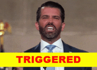 A Man In A Suit And Tie Is Giving A Speech Next To A Yellow Sign That Reads Triggered GIF