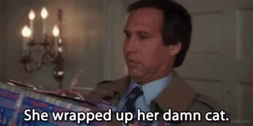 A Man In A Suit And Tie Is Holding A Box And Saying `` She Wrapped Up Her Damn Cat '' . GIF
