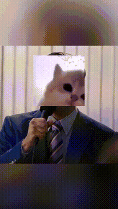 A Man In A Suit And Tie Is Holding A Microphone With A Cat Behind His Face GIF