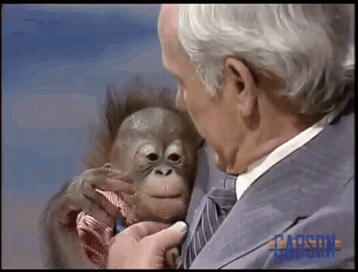 A Man In A Suit And Tie Is Holding A Small Monkey In His Arms . GIF