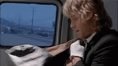 A Man In A Suit And Tie Is Sitting In The Back Seat Of A Car Looking Out The Window . GIF