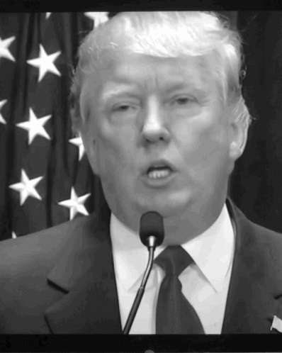 A Man In A Suit And Tie Is Speaking Into A Microphone In Front Of An American Flag GIF