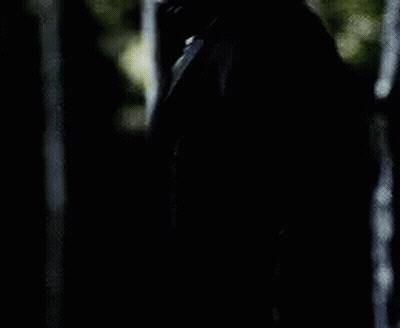 A Man In A Suit And Tie Is Standing In A Dark Forest . GIF