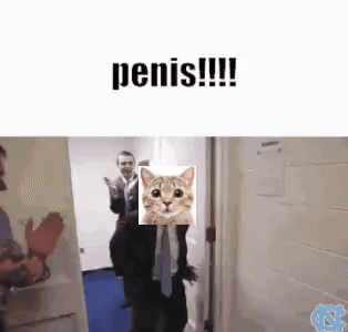 A Man In A Suit And Tie Is Standing In A Doorway With A Picture Of A Cat In Front Of Him . GIF