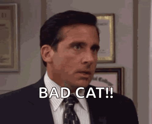 A Man In A Suit And Tie Says Bad Cat ! GIF