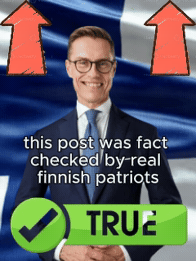 A Man In A Suit And Tie Stands In Front Of A Finnish Flag And A Green Check Mark That Says True GIF