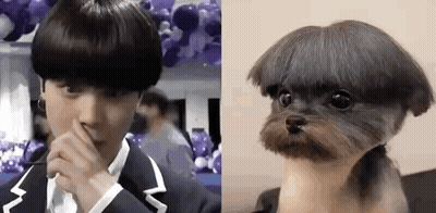 A Man In A Suit Is Covering His Nose Next To A Small Dog With A Very Short Haircut . GIF