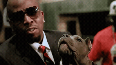 A Man In A Suit Is Holding A Small Dog GIF