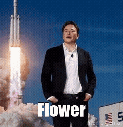 A Man In A Suit Is Standing In Front Of A Rocket With The Word Flower Written In Front Of Him . GIF