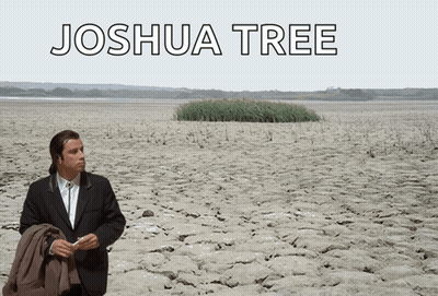 A Man In A Suit Is Standing In The Middle Of A Desert With The Words Joshua Tree Written Above Him GIF