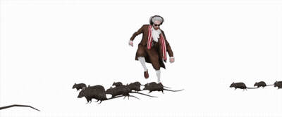 A Man In A Suit Is Surrounded By A Bunch Of Black Rats GIF