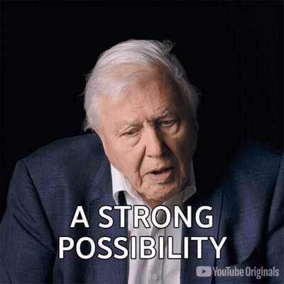 A Man In A Suit Says " A Strong Possibility " In Front Of Him GIF