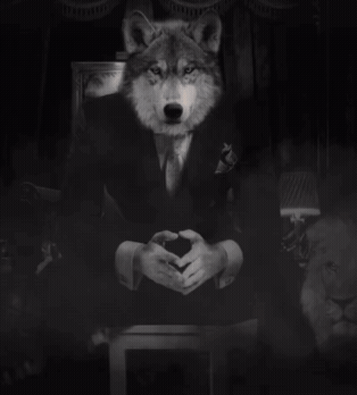 A Man In A Suit Sits With His Hands Folded In Front Of A Lion GIF