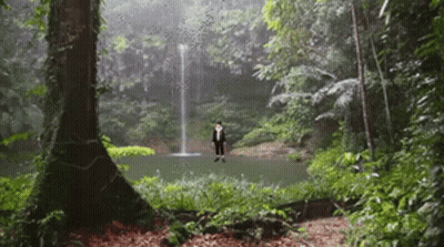 A Man In A Suit Stands In Front Of A Waterfall In The Woods GIF