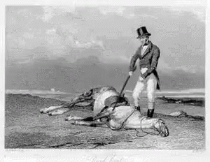 A Man In A Top Hat Is Standing Next To A Dead Horse On Top Of A Hill . GIF