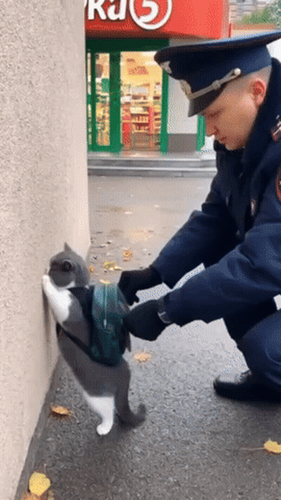 A Man In A Uniform Is Petting A Cat With A Backpack On Its Back GIF