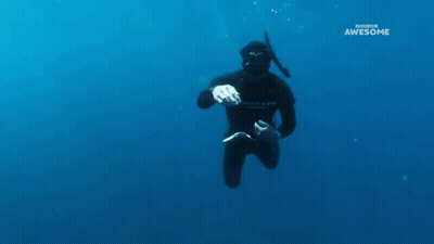A Man In A Wetsuit Is Swimming In The Ocean With The Words Awesome On The Bottom Of The Screen GIF