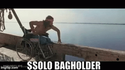 A Man In A Wheelchair Is Leaning Against A Wall Near A Body Of Water With The Words Solo Bagholder Below Him GIF