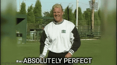 A Man In A White And Black Shirt Is Standing On A Field With The Words " Absolutely Perfect " Below Him GIF